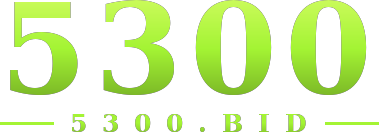 5300 logo